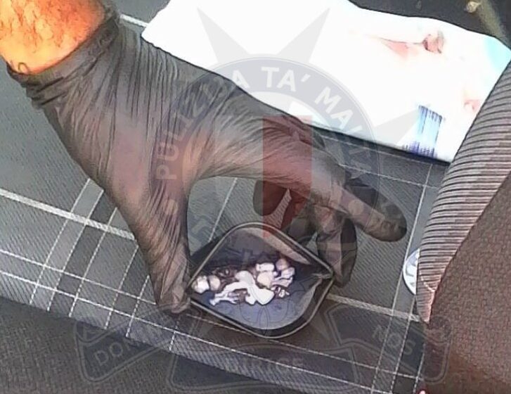  Jinstabu Diversi Tipi Ta’ Droga Fosthom ‘Crack’ F’Vettura…