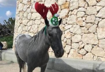  Għandu Jilbes Hekk Il-Mohor?