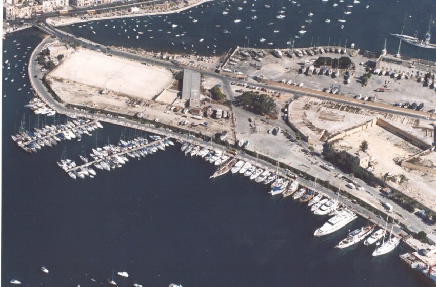  Il-MIDI Tiċċara Li Ftit Siġar Tneħħew U Oħrajn Ġew Rilokati