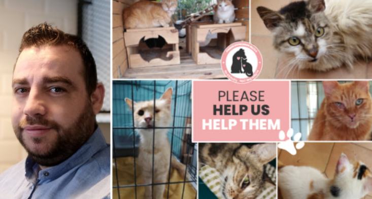  Animal Guardians Malta B’Appell Għall-Għajnuna!