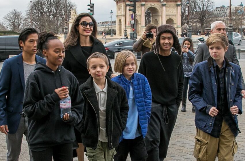  Angelina Jolie Bi Provi T’ Abbuż Domestiku