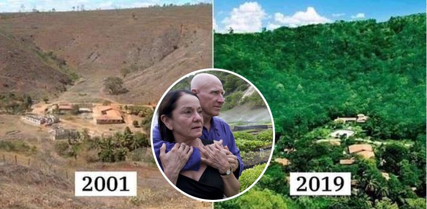  Din Il-Koppja Ħawwlet 2 Miljun Siġra Biex Toħloq Mill-Ġdid Foresta Fil-Brazil