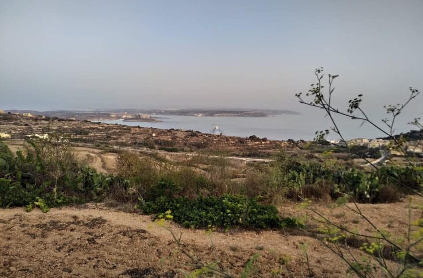  Tkompli Tippersisti S-Sħana – Illum Tinħass 43°C