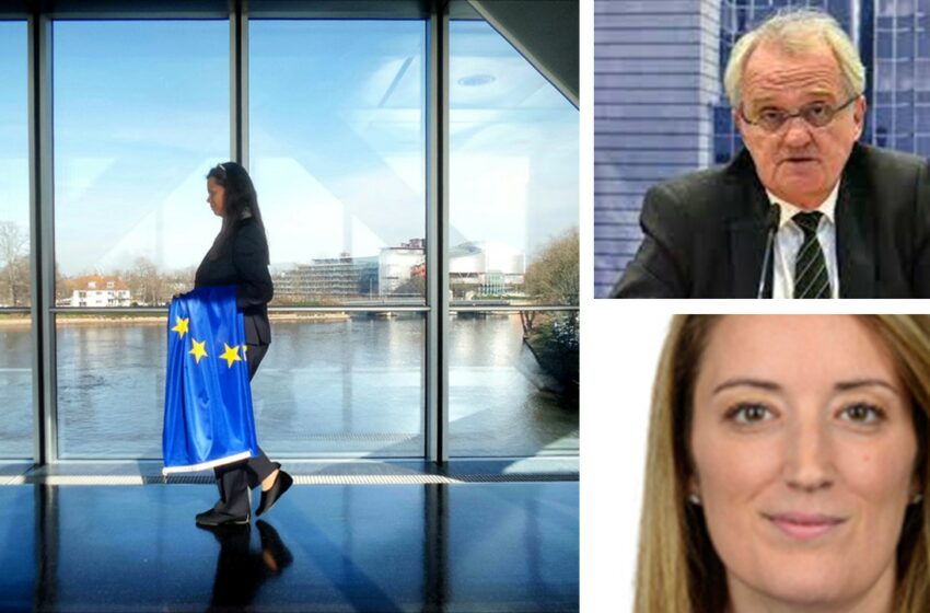  “Metsola U Casa Astjenew Mill-Vot Li L-Vjolenza Tal-Ġeneru Tkun Meqjusa Reat Kriminali”
