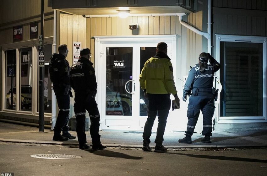  5 Mejta Fin-Norveġja Wara Attakk Bil-Qaws U L-Vleġeġ – L-Aggressur Arrestat Ftit Tal-Ħin Wara