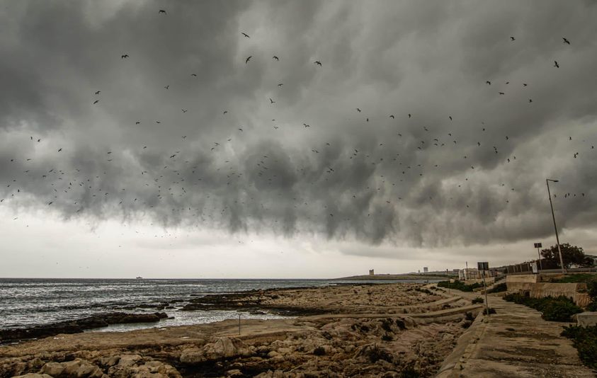  Mistenni Jiċċara Wara Nofs Inhar