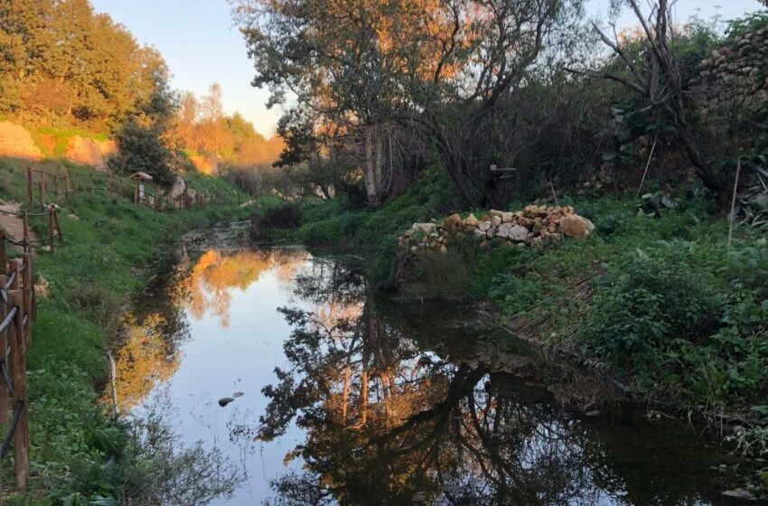  X’Medja Ta’ Xita Niżlet Mill-1 Ta’ Settembru Sa Issa?