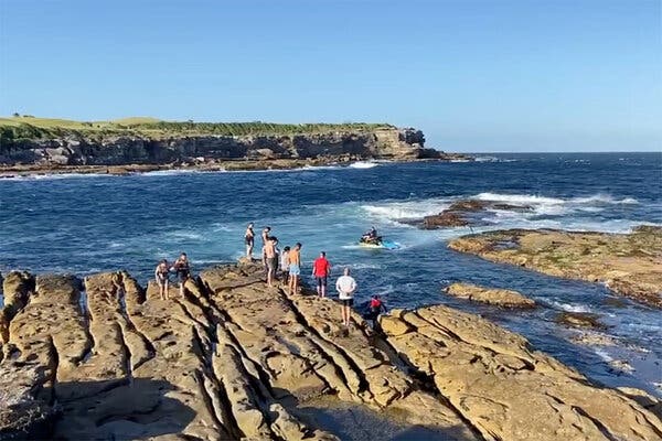  Bil-Filmat: Il-Mument Li Ingliż Ta’ 35 Sena Kien Attakkat Minn Kelb Il-Baħar F’Sydney