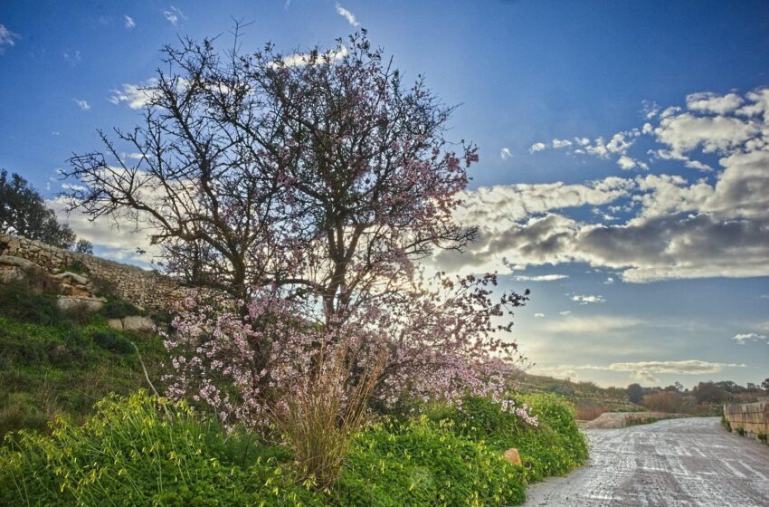  Mistennija Għaxart Ijiem Ta’ Temp Sabiħ U Xott…
