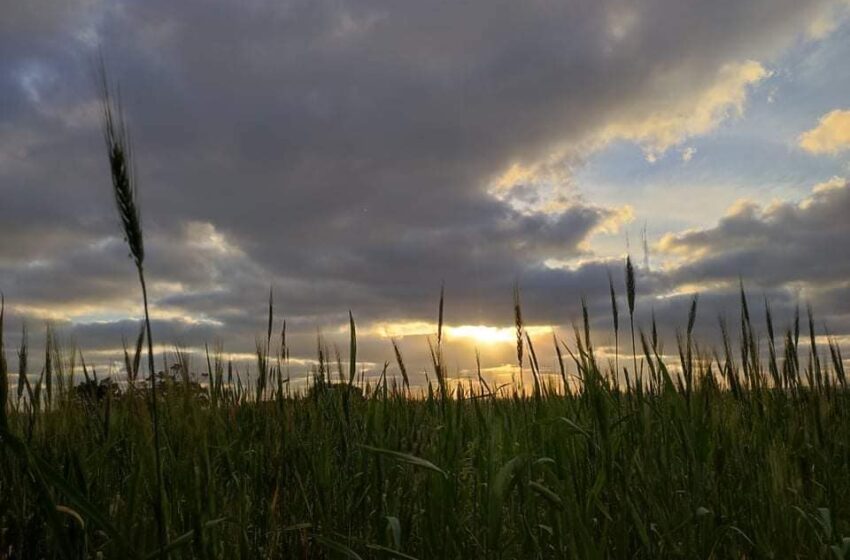  Għandu Jibnazza Aktar Tard…Filgħaxija T-Temperaturi Jibqgħu Baxxi
