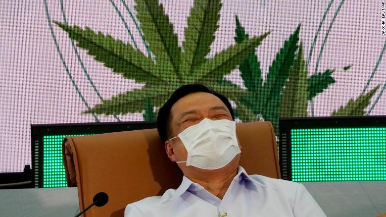  Fit-Tajlandja L-Gvern Se Jqassam Miljun Pjanta Tal-Kannabis Fid-Djar