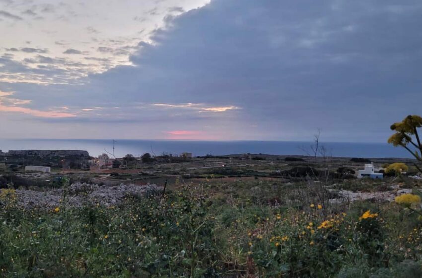  Aktar Tard Mistennija X-Xita Li Possibbilment Tkun Bir-Ragħad…