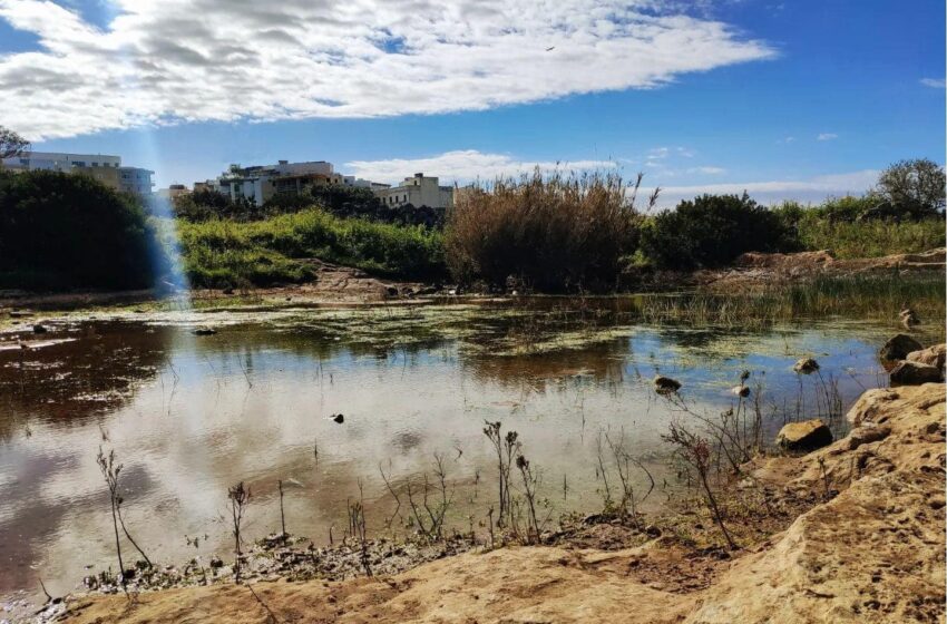  F’Mejju L-Aktar Li Għamlet Xita Kien F’Birkirkara…