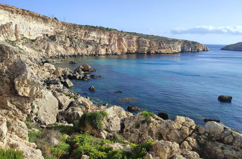 L-Ogħla Temperatura Llum: 32°C