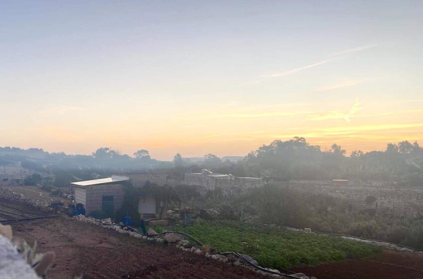  Ċpar U Nida … Jinħass Is-Sajf Ta’ San Martin