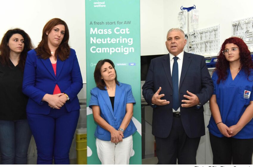  Imnedija kampanja nazzjonali għan-neutering tal-qtates