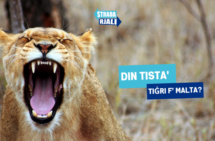  Din tista’ tiġri f’ Malta?