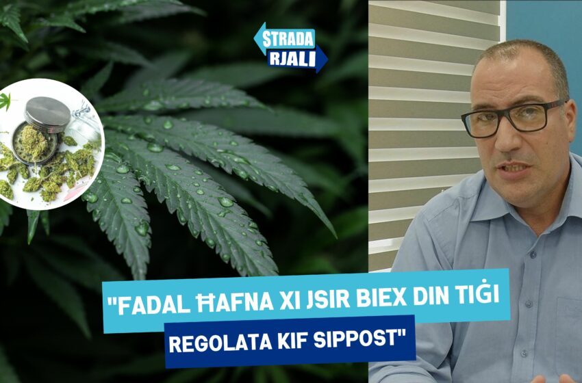  “Ħafna nies iċemplulna jgħidulna li t-tifel tagħhom qed ipejjep il-ħaxixa”
