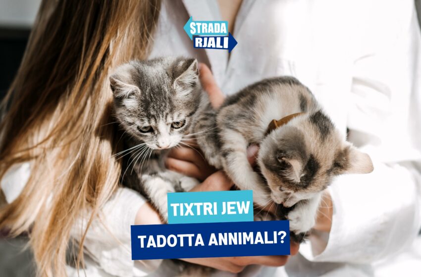  Tixtri jew tadotta annimali?