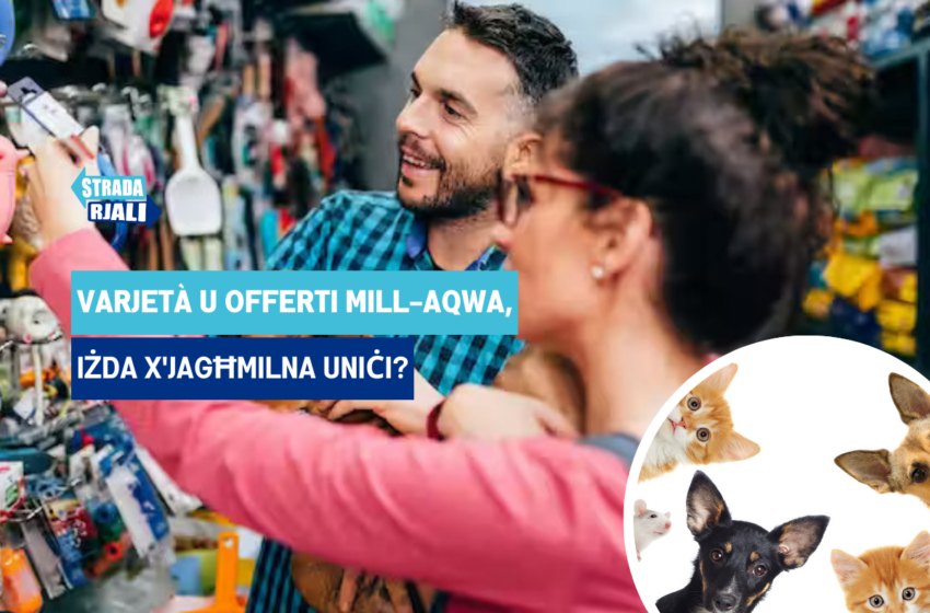  Xi jfisser li jkollok pet shop?