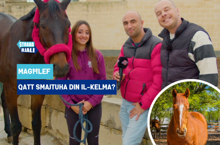  Illum ġejna għand dak li jgħidulu Magħlef … qatt smajtuha din il-kelma?