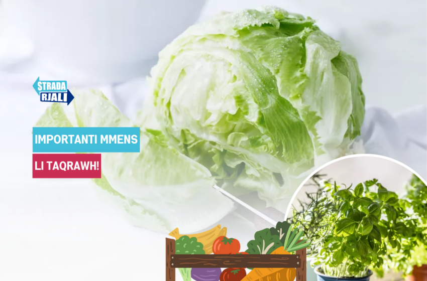6 frottiet u ħxejjex li n-nies jiżbaljaw li ma jaħslux qabel jieklu … Liema huma?
